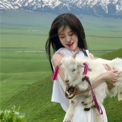 欧卡纸牌之记忆迷踪
