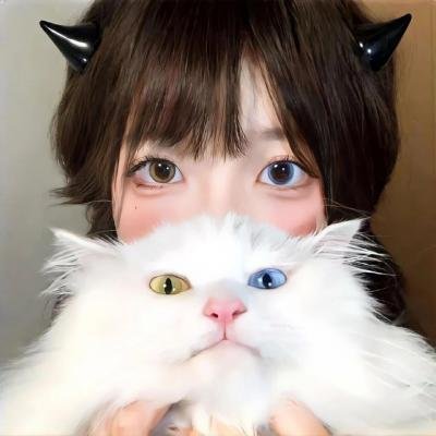 蓝松鸦行动